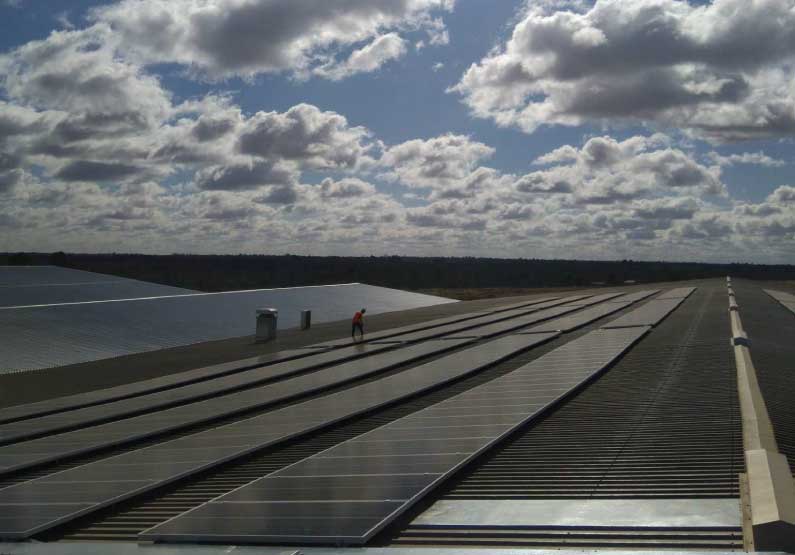 You are currently viewing Project snapshot: Rocky Lamattina & Sons (VIC)