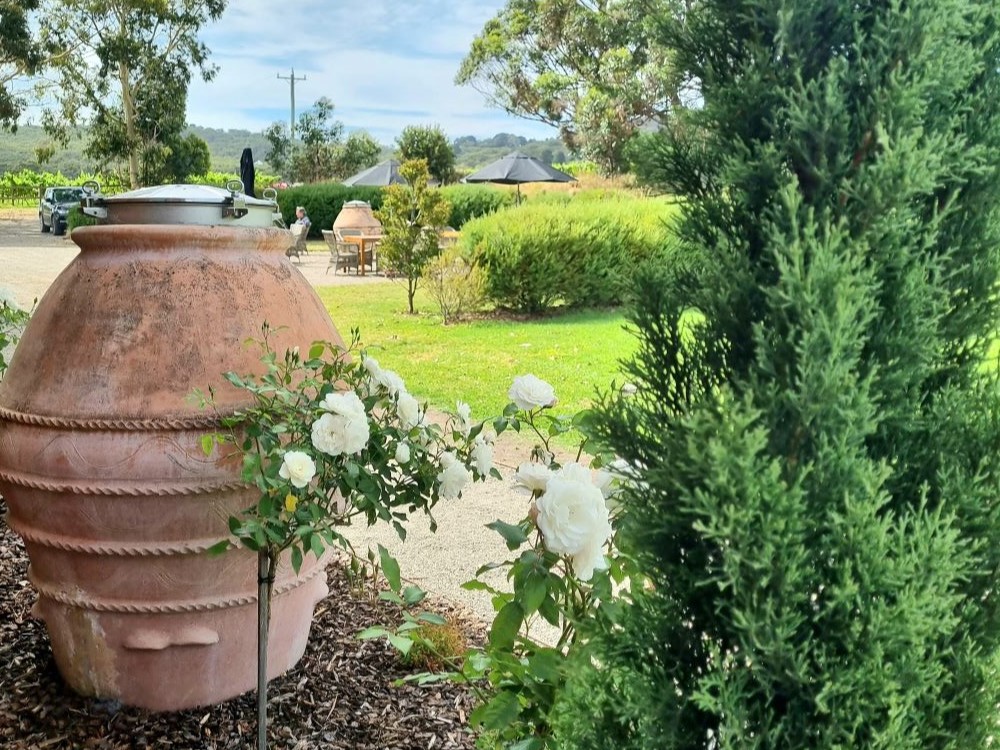 Read more about the article Helping Trofeo Estate turn sunshine into savings